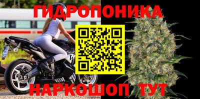 PSILOCYBIN Бугуруслан