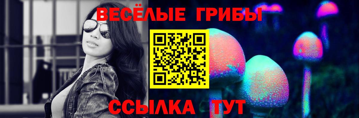Псилоцибиновые грибы прущие грибы  Вход с VPN  Люберцы 