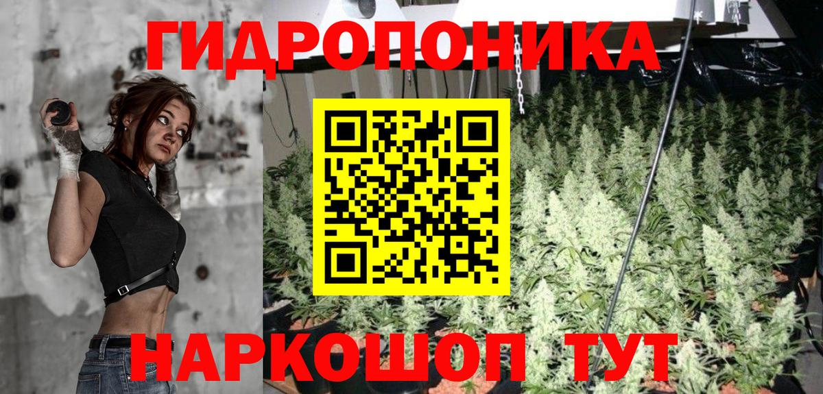 Каннабис MAZAR  Каннабис гибрид  Люберцы  Конопля SATIVA & INDICA  Вход с VPN 